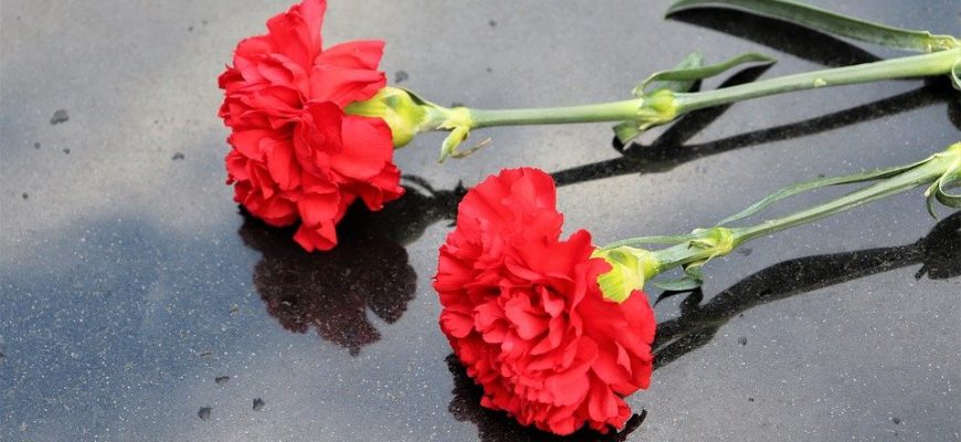 two red carnations 4176708 960 720