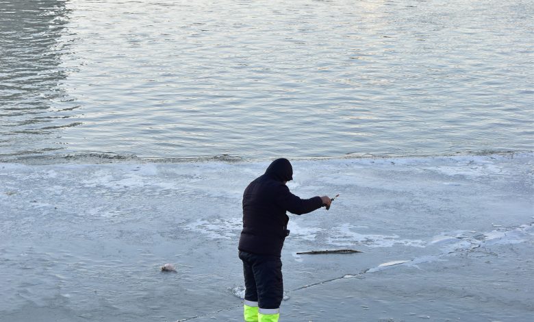 kak gorozhanin iskal klyovoe mesto