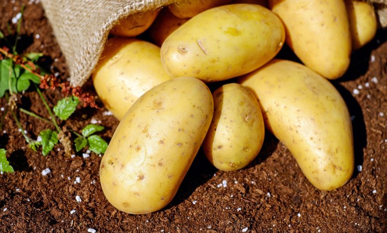 potatoes 1585075 1280