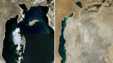 aralsea1989 2014