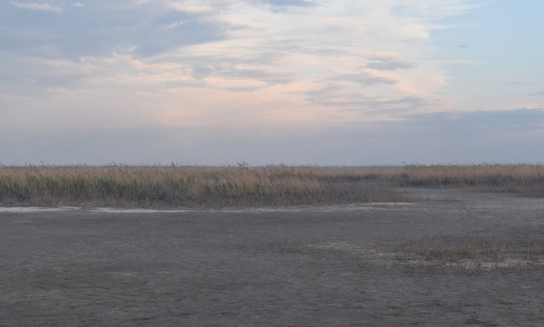 img 20250619 wa0041 780x470 1