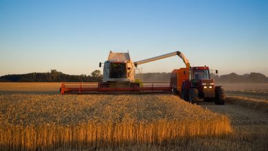 claas combine in denmark