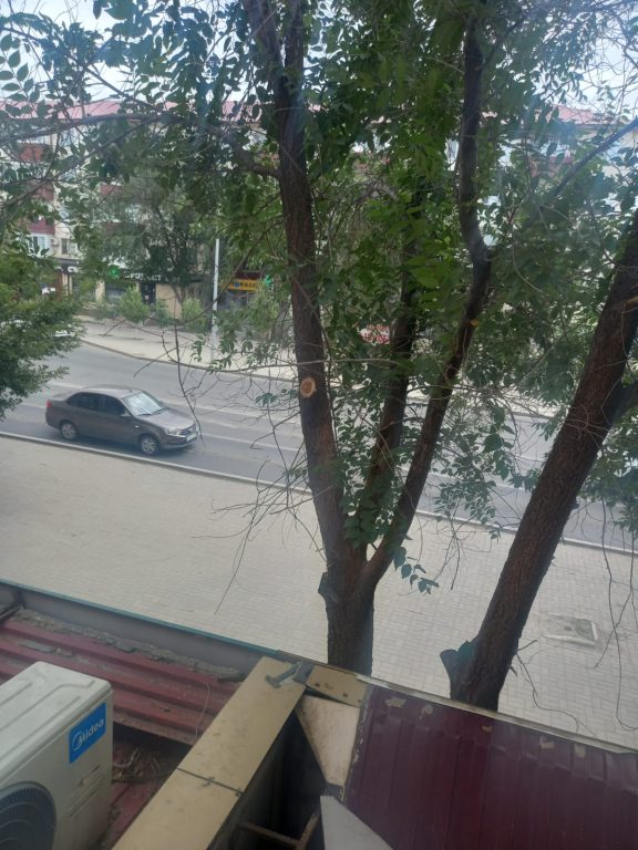 img 20250729 wa0022