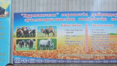 img 20250825 wa0015