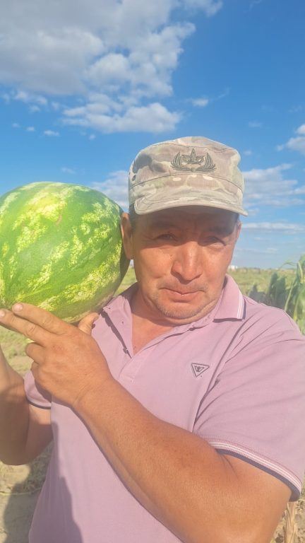 pospel urozhaj – uspevaj sobiraj2