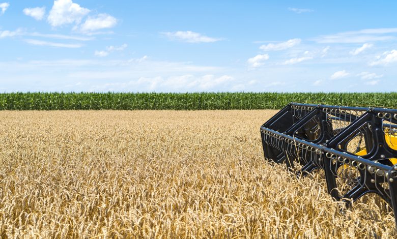 combine harvester working field